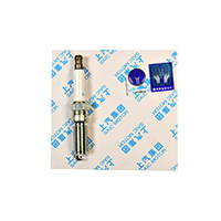 Spark Plug